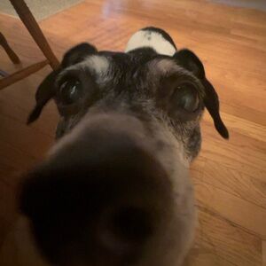 Meet your Posher, Mary